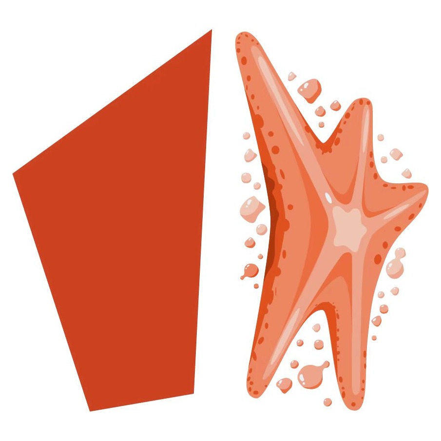 海星 Foundation